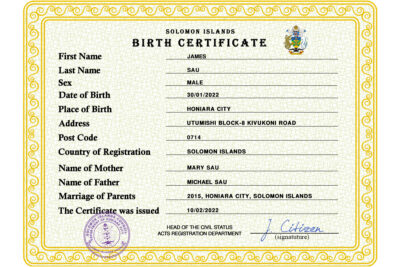 Solomon vital record birth certificate PSD template, fully editable