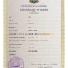 Authentic Somalia Birth Certificate Template | Customize and Download Online