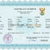 Authentic South Africa Birth Certificate Template | Customize and Download Online