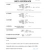 Authentic South Korea Birth Certificate Template | Customize and Download Online