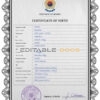 Authentic South Korea Birth Certificate Template | Customize and Download Online