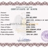 Authentic South Sudan Birth Certificate Template | Customize and Download Online