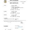 Authentic South Sudan Birth Certificate Template | Customize and Download Online