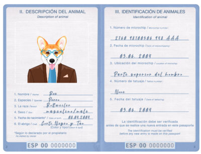 Spain dog Fake PSD Passport | Instant Download