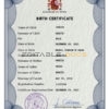 Authentic Spain Birth Certificate Template | Customize and Download Online