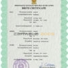 Authentic Sri Lanka Birth Certificate Template | Customize and Download Online