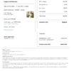 Customizable Sudan Airbnb Reservation Template | Word & PDF Formats