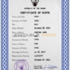 Authentic Sudan Birth Certificate Template | Customize and Download Online