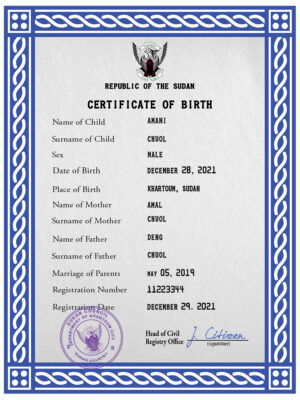 Authentic Sudan Birth Certificate Template | Customize and Download Online