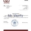 Download Sudan National Bank of Sudan Bank Reference Letter Templates | Editable Word