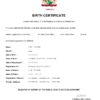 Authentic Suriname Birth Certificate Template | Customize and Download Online