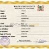 Authentic Suriname Birth Certificate Template | Customize and Download Online