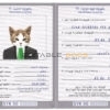 Syria cat Fake PSD Passport | Instant Download