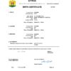 Authentic Syria Birth Certificate Template | Customize and Download Online