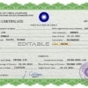 Authentic Taiwan Birth Certificate Template | Customize and Download Online