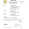 Authentic Tajikistan Birth Certificate Template | Customize and Download Online