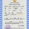 Authentic Tajikistan Birth Certificate Template | Customize and Download Online
