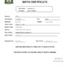 Authentic Tanzania Birth Certificate Template | Customize and Download Online