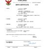 Authentic Thailand Birth Certificate Template | Customize and Download Online