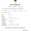 Authentic Timor-Leste Birth Certificate Template | Customize and Download Online