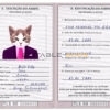 Timor-Leste cat Fake PSD Passport | Instant Download