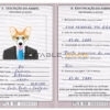 Timor-Leste dog Fake PSD Passport | Instant Download