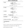 Authentic Togo Birth Certificate Template | Customize and Download Online