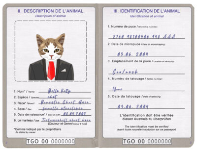 Togo cat Fake PSD Passport | Instant Download
