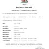 Authentic Trinidad & Tobago Birth Certificate Template | Customize and Download Online
