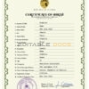 Authentic Tunisia Birth Certificate Template | Customize and Download Online