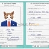 Turkey cat Fake PSD Passport | Instant Download