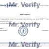 Download Turkey Is Bankasi Bank Reference Letter Templates | Editable Word