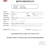 Authentic UAE Birth Certificate Template | Customize and Download Online