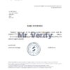 Download United Kingdom Starling Bank Reference Letter Templates | Editable Word