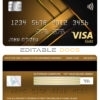 Editable USA Bank of New York Mellon visa gold card Templates in PSD Format