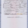 Authentic USA Illinois Birth Certificate Template | Customize and Download Online