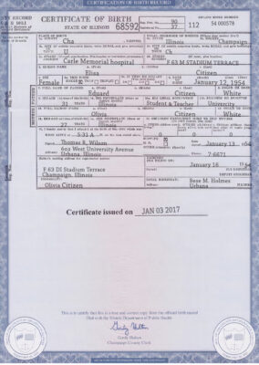 Authentic USA Illinois Birth Certificate Template | Customize and Download Online