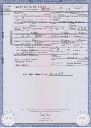 USA Editable Templates 12 Authentic USA Illinois Birth Certificate Template | Customize and Download Online