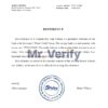 Download USA 5Point Bank Reference Letter Templates | Editable Word