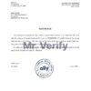 Download USA Ally Bank Reference Letter Templates | Editable Word