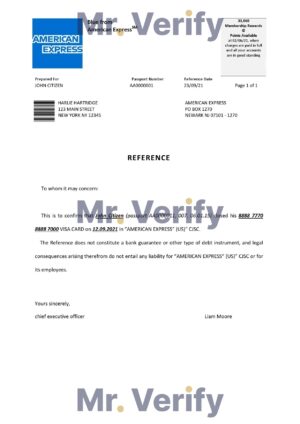 USA Editable Templates 12 Download USA American Express Bank Reference Letter Templates Editable Word