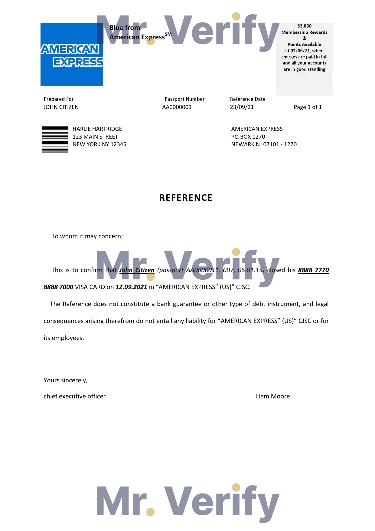 Download USA American Express Bank Reference Letter Templates | Editable Word