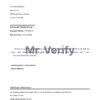 Download USA BlueVine Bank Reference Letter Templates | Editable Word