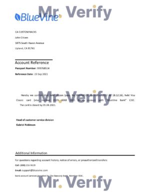 USA Editable Templates 2 Download USA BlueVine Bank Reference Letter Templates | Editable Word