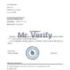 Download USA BlueVine Bank Reference Letter Templates | Editable Word