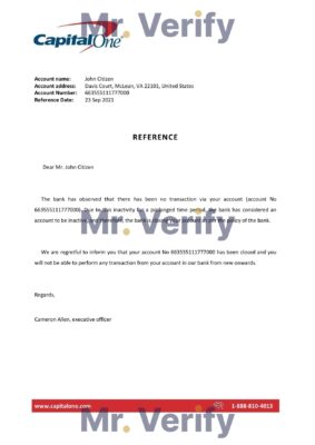 Download USA Capital One Bank Reference Letter Templates | Editable Word