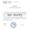 Download USA Capital One Bank Reference Letter Templates | Editable Word
