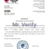 Download USA First Century Bank Reference Letter Templates | Editable Word