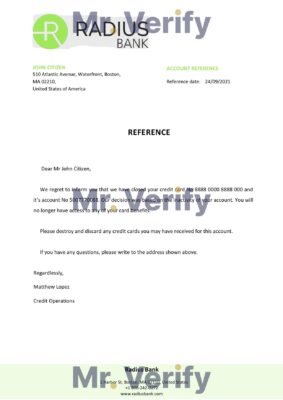 Download USA Radius Bank Reference Letter Templates | Editable Word