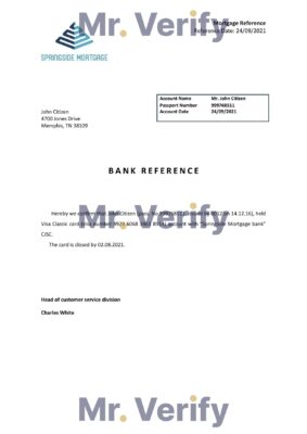 Download USA Springside Mortgage Bank Reference Letter Templates | Editable Word